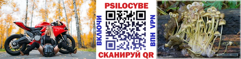 Псилоцибиновые грибы Psilocybine cubensis  блэк спрут ССЫЛКА  Алейск 